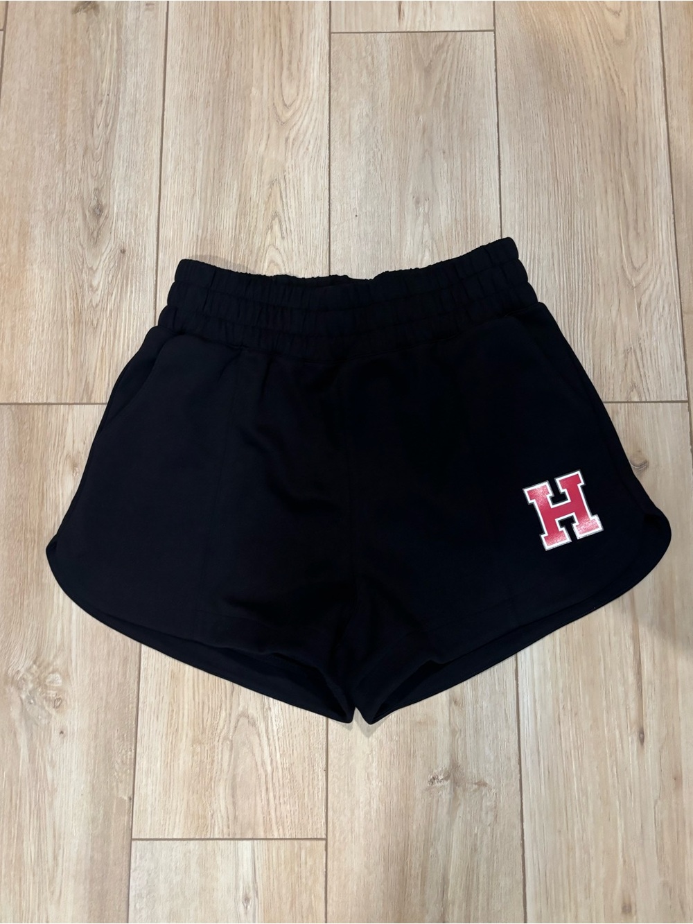Hype and Vice black sweatshorts XL Harvard university soft mint prep